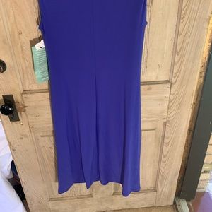 NWT Elegant blue dress